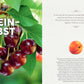 Nahaufnahme von reifen Kirschen im Obstgarten - einfach machen! aus dem Verlag Eugen Ulmer, die an einem Zweig mit grünen Blättern hängen; rechts eine Seite mit einem Aprikosenfoto und Text. Der Titel Steinobst überlagert das Bild der Kirsche.