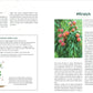In der Zeitschrift "Obstgarten - einfach machen!" des Verlags Eugen Ulmer finden Sie eine Abbildung eines Pfirsichbaums, reife Pfirsiche und Tipps zu Anbau, Sortenwahl und Ernte der saftigen Früchte für Ihren Garten.