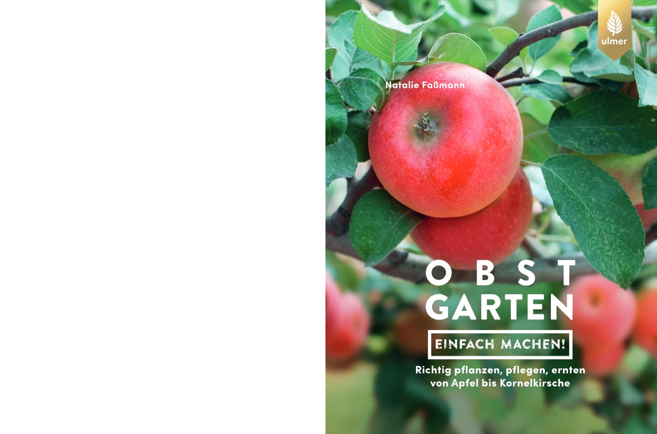 Cover eines Gartenbuchs mit roten Äpfeln an einem Ast und grünen Blättern. Titel: Obstgarten – einfach machen! vom Verlag Eugen Ulmer. Es bietet Tipps für die Obsternte im eigenen Obstgarten.