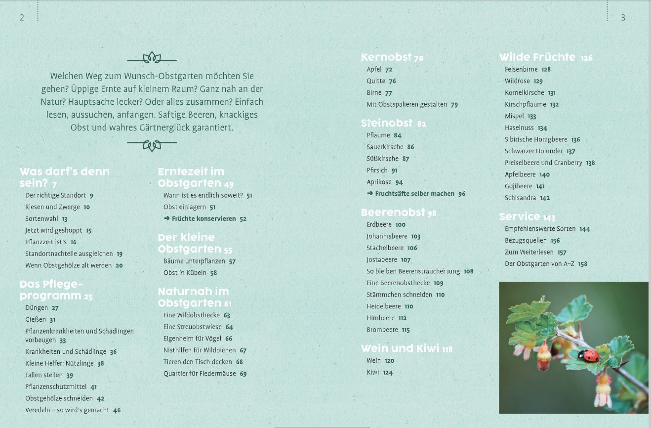 Das Inhaltsverzeichnis von „Obstgarten – einfach machen!“ aus dem Verlag Eugen Ulmer umfasst Kernobst, Steinobst, Beerenobst, Wildobst, Wein und Kiwi, mit Pflegetipps, Erntezeitpunkten, Lagerungshinweisen und enthält ein Foto von Beeren an einem Zweig.