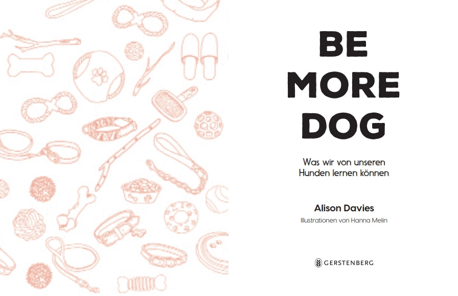 Buchumschlag mit dem Titel Be More Dog vom Gerstenberg Verlag, mit verspielten Hund-Zubehör-Illustrationen auf Weiß - ein inspirierender Ratgeber für Hundefans.