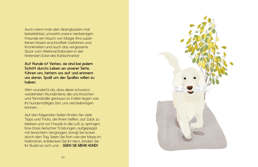 Ein fröhlicher weißer Hund steht auf einem grauen Teppich und hat eine zusammengerollte Zeitung im Maul. Dahinter befinden sich grün-gelbe Zweige, und als deutscher Ratgeber-Titel erscheint links im Bild "Be More Dog" vom Gerstenberg Verlag.
