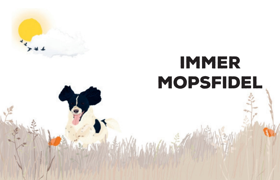 Ein schwarz-weißer Hund läuft fröhlich durch hohes Gras in der Sonne, während Vögel vorbeifliegen. Rechts steht in fetten Lettern "Be More Dog" vom Gerstenberg Verlag.