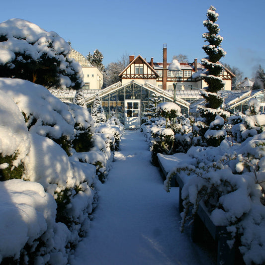 Ein schneebedeckter Weg führt zum Glasgewächshaus der Königlichen Gartenakademie, wo "Mi. 10.12.2025 | 14.30-16.00 AFTERNOON TEA - Christmas Special - Dr. Isabelle Van Groeningen" in winterlicher Kulisse unter strahlend blauem Himmel erwartet wird.