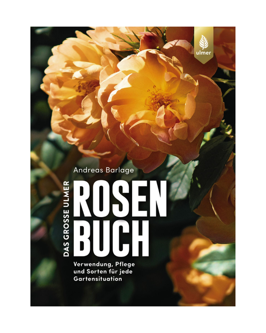Cover von Das große Ulmer Rosenbuch | Eine spannende Reise durch die faszinierende Welt der Rosensorten von Ulmer Verlag, mit Nahaufnahme orange-gelber Rosen und grünem Laub - ein inspirierender Blickfang für Ihr Rosenparadies. Ulmer-Logo oben rechts.