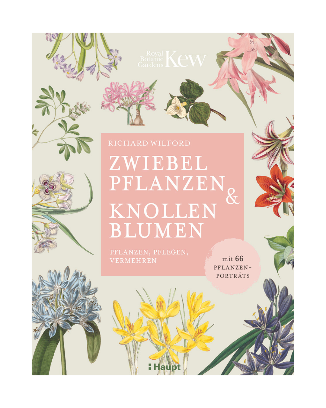Ein Buchcover aus dem Haupt Verlag mit dem Titel "Zwiebelpflanzen & Knollenblumen | Von zarten Schneeglöckchen im Frühling bis zu leuchtenden Herbstblühern" - perfekt für jeden Garten Ratgeber Fan.