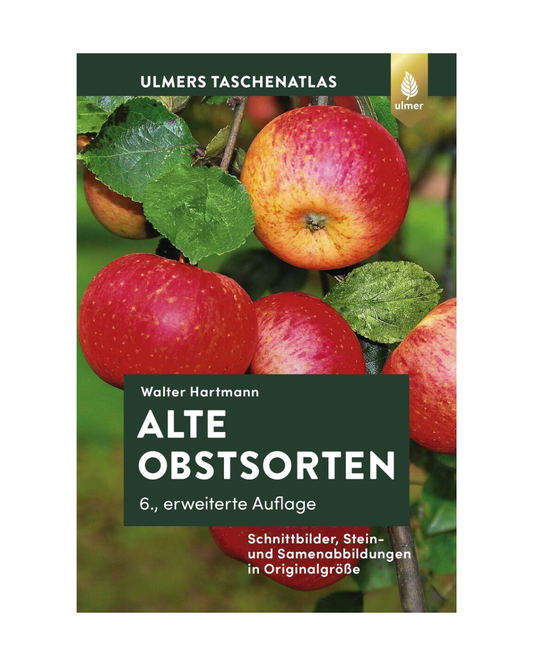 Das Buch "Alte Obstsorten | Nachschlagewerk für Pomologen, Gärtner und Obstbaubegeisterte" aus dem Ulmer Verlag zeigt auf dem Cover rote Äpfel an einem Ast und gehört zur bekannten Taschenatlas-Reihe des Verlags.