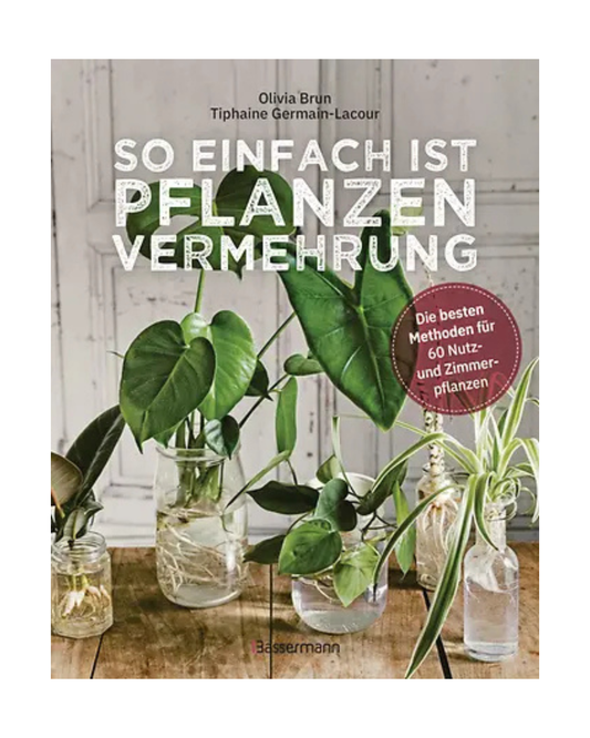 Buchumschlag mit grünen Blattpflanzen in Gläsern. "So einfach ist Pflanzenvermehrung | Die besten Methoden für 60 Nutz- und Zimmerpflanzen" vom Bassermann Verlag. Ideal zum Lernen über die Vermehrung auf einem hellen Holzuntergrund.