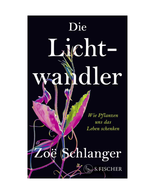 Buchumschlag von Die Lichtwandler | Wie Pflanzen uns das Leben schenken vom Fischer Verlag. Das Cover zeigt eine bunte, stilisierte Pflanze auf schwarzem Grund, mit weißem und gelbem Text -Wissenschaftsliteratur über Pflanzen, die unser Leben bereichern.