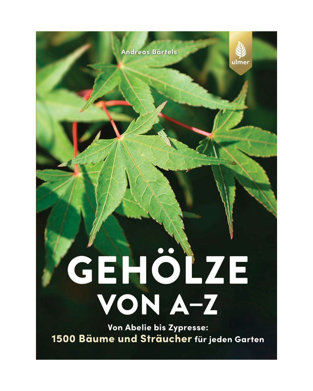 Buchumschlag mit grünen Ahornblättern und dem Titel "Gehölze von A-Z | Eine große Vielfalt an Bäumen und Sträuchern für den Garten" von Andreas Bärtels. Das Logo des Ulmer Verlags befindet sich oben rechts; der Untertitel hebt 1500 Bäume und Sträucher hervor.