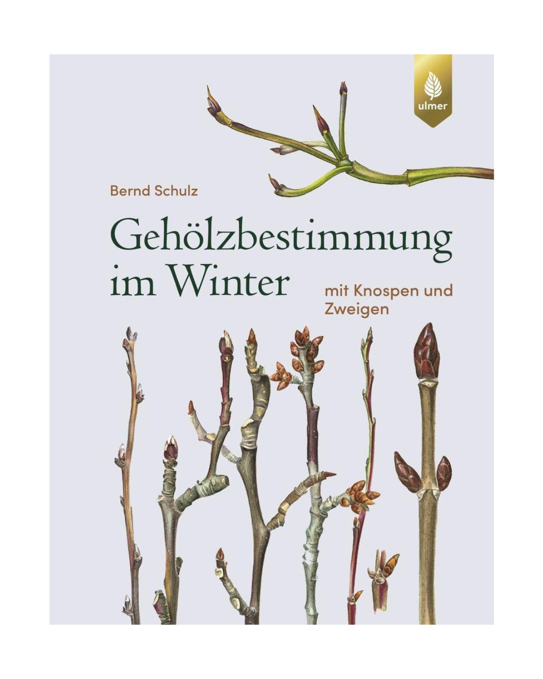 Buchumschlag von "Gehölzbestimmung im Winter | Über 700 Baum- und Straucharten im Winter" von Bernd Schulz, der detaillierte Baumknospen und Zweige auf weißem Hintergrund zeigt, mit dem Logo des Verlags Eugen Ulmer in der oberen rechten Ecke.