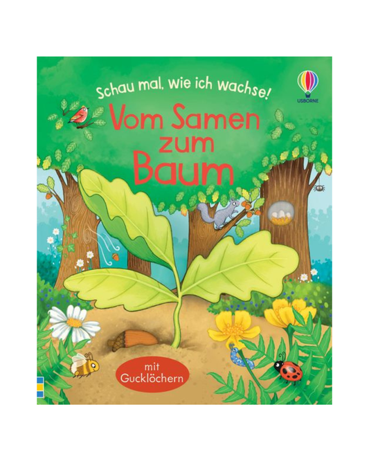 Bunte Cover-Illustration des dtv Verlags Kinderbuchs "Vom Samen zum Baum | Ab 3 Jahren": Ein großer Eichelsprössling mit grünen Blättern wächst aus dem Boden, umgeben von Pflanzen, Blumen, Insekten und Bäumen.