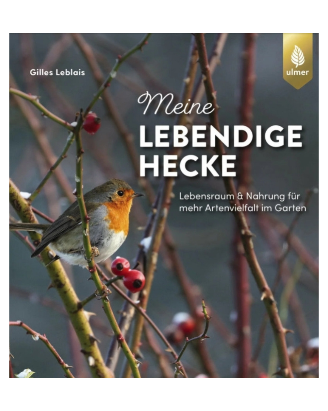 Ein Rotkehlchen auf einem mit Beeren beladenen Zweig ziert das Cover von "Meine lebendige Hecke | Schutz und Nahrung für viele Tiere" aus dem Verlag Eugen Ulmer, das Gartenhecken als lebendige Lebensräume für Wildtiere in natürlichen Farben illustriert.