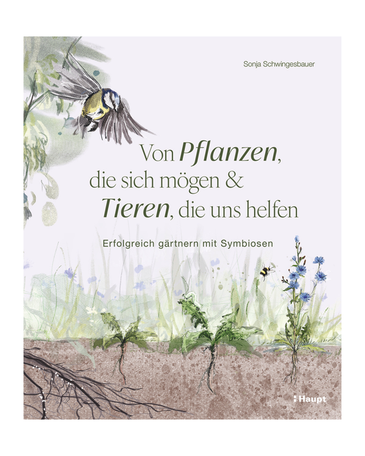 Das Buchcover zeigt Aquarellillustrationen von Pflanzen, Wurzeln und einem Vogel. Titel: "Von Pflanzen, die sich mögen, und Tieren, die uns helfen | Erfolgreich gärtnern mit Symbiosen" von Haupt Verlag.