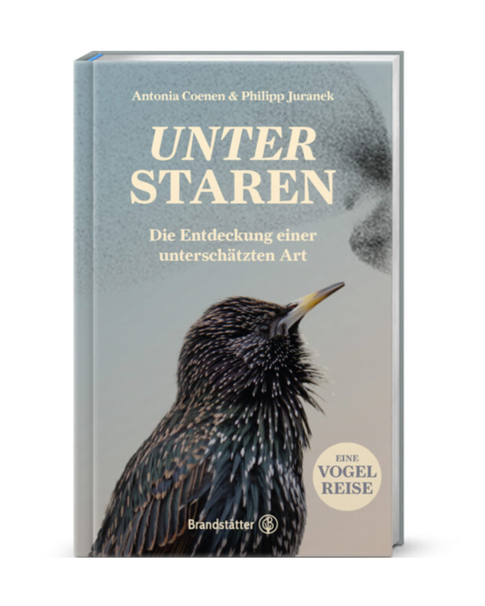 Das Buch Unter Staren | Die Entdeckung einer unterschätzten Art, Eine Vogelreise aus dem Brandstätter Verlag zeigt auf dem Cover eine Nahaufnahme eines Stares mit gesprenkeltem Gefieder - eine inspirierende Hommage an die Vielfalt der Vögel.
