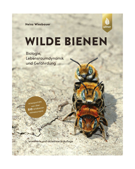 Das Cover von Wilde Bienen | Gebundenes Buch von Heinz Wiesbauer (Ulmer Verlag) zeigt drei Wildbienen in Großaufnahme. Das Buch bietet Einblicke in über 510 Bienenarten Mitteleuropas, wobei ein goldener Kreis diese Informationen hervorhebt.