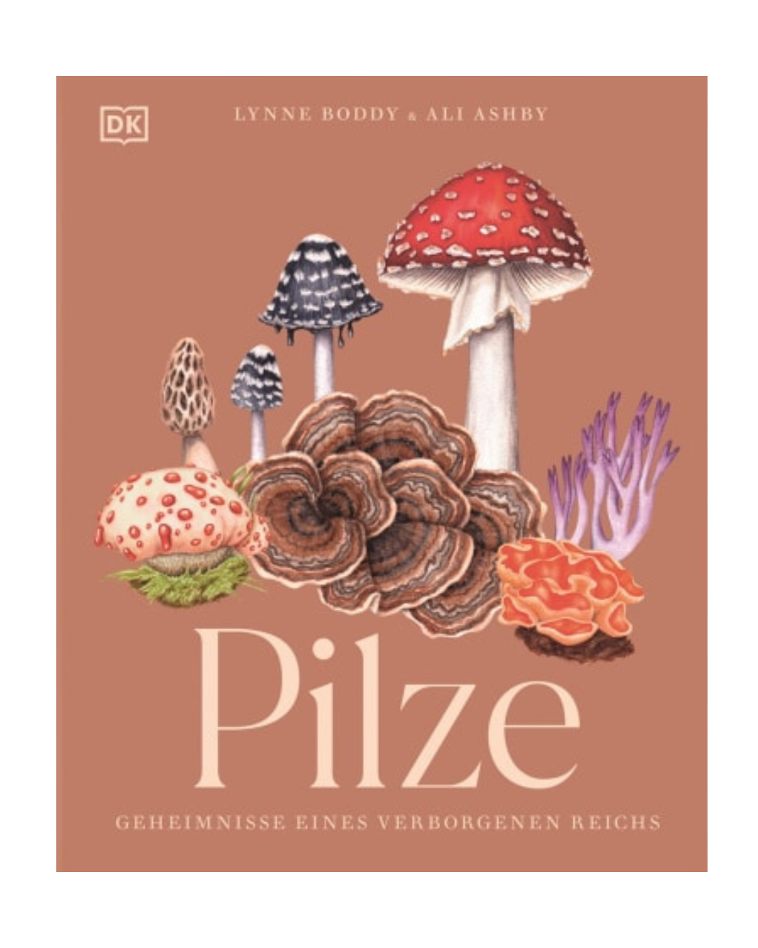 Buchcover von Pilze | Hochwertig illustriertes Sachbuch für Pilzliebhaber von DK Verlag, zeigt bunte Pilzarten auf braunem Hintergrund. Das Cover trägt den Untertitel "Geheimnisse eines verborgenen Reichs".