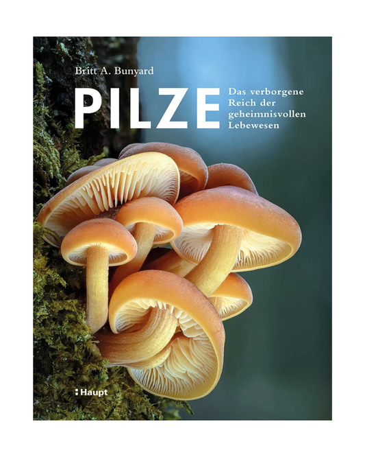 Cover von Pilze | Das verborgene Reich der geheimnisvollen Lebewesen vom Haupt Verlag, mit orange-braunen Pilzen auf moosbewachsenem Holz und deutschem Text über die verborgene Welt der geheimnisvollen Lebewesen.
