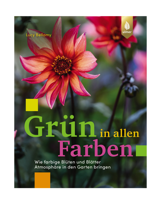 Lebendiges Buchcover mit rot-rosa Dahlien und grünem Laub. "Grün in allen Farben | Entdecken Sie die Top 40 farbigen Pflanzen & fundiertes Wissen zu Pflanzung und Pflege" vom Ulmer Verlag, ideal zur Inspiration in der Farbgestaltung Garten.