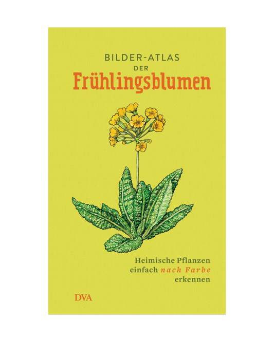 Das Buchcover des "Bilder-Atlas der Frühlingsblumen | Vielfalt heimischer Frühlingsblüher" aus dem DVA Verlag zeigt einen illustrierten gelben Frühlingsblüher mit grünen Blättern auf hellgelbem Hintergrund und Anleitungen zur Bestimmung von Wildblumen nach Farben.