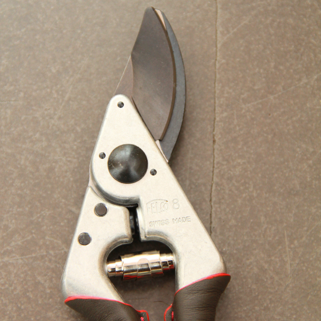 Die Nahaufnahme der Felco 6 ELITE Gartenschere mit schwarzem und rotem Griff zeigt ihr ergonomisches Design - ideal für alle, die eine kompakte Gartenschere suchen - die auf einer braunen, strukturierten Oberfläche ruht.