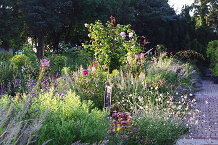 Erleben Sie eine friedliche Mixed Border Atmosphäre mit lebendigen Pflanzen bei Dr. Isabelle Van Groeningen's HALBTAGESKURS "Gestaltung und Bepflanzung einer Mixed Border" am Sa. 28.03.2026, 13:00-16:00 Uhr - perfekt für Liebhaber bunter Blumen, hoher Gräser und steinumrandeter Wege.
