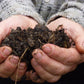 Eine Person im karierten Hemd hält dunkle, mit Kompost und Zweigen vermischte Erde in der Hand, die Hände gezeichnet von der Arbeit mit Sebastian Keller-Lewis' organischem Dünger - zu sehen in der Fr. 27.02.2026 | 14.00-16.00 WORKSHOP Glücklicher Boden, glückliche Pflanzen: Weniger Pflege - NEU.