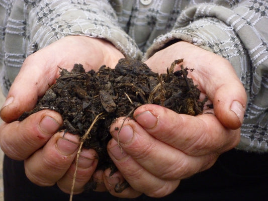 Eine Person im karierten Hemd hält dunkle, mit Kompost und Zweigen vermischte Erde in der Hand, die Hände gezeichnet von der Arbeit mit Sebastian Keller-Lewis' organischem Dünger - zu sehen in der Fr. 27.02.2026 | 14.00-16.00 WORKSHOP Glücklicher Boden, glückliche Pflanzen: Weniger Pflege - NEU.