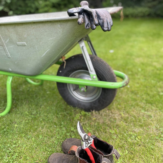 Eine metallene Schubkarre mit schwarzen Handschuhen und Stiefeln mit rotbeschlagener Gartenschere steht auf einer Wiese, umgeben von Grünzeug - perfekt für den Grundkurs "Grüner Daumen" (Di. 21.10.2025) an der Königlichen Gartenakademie mit Astrid Torrens.