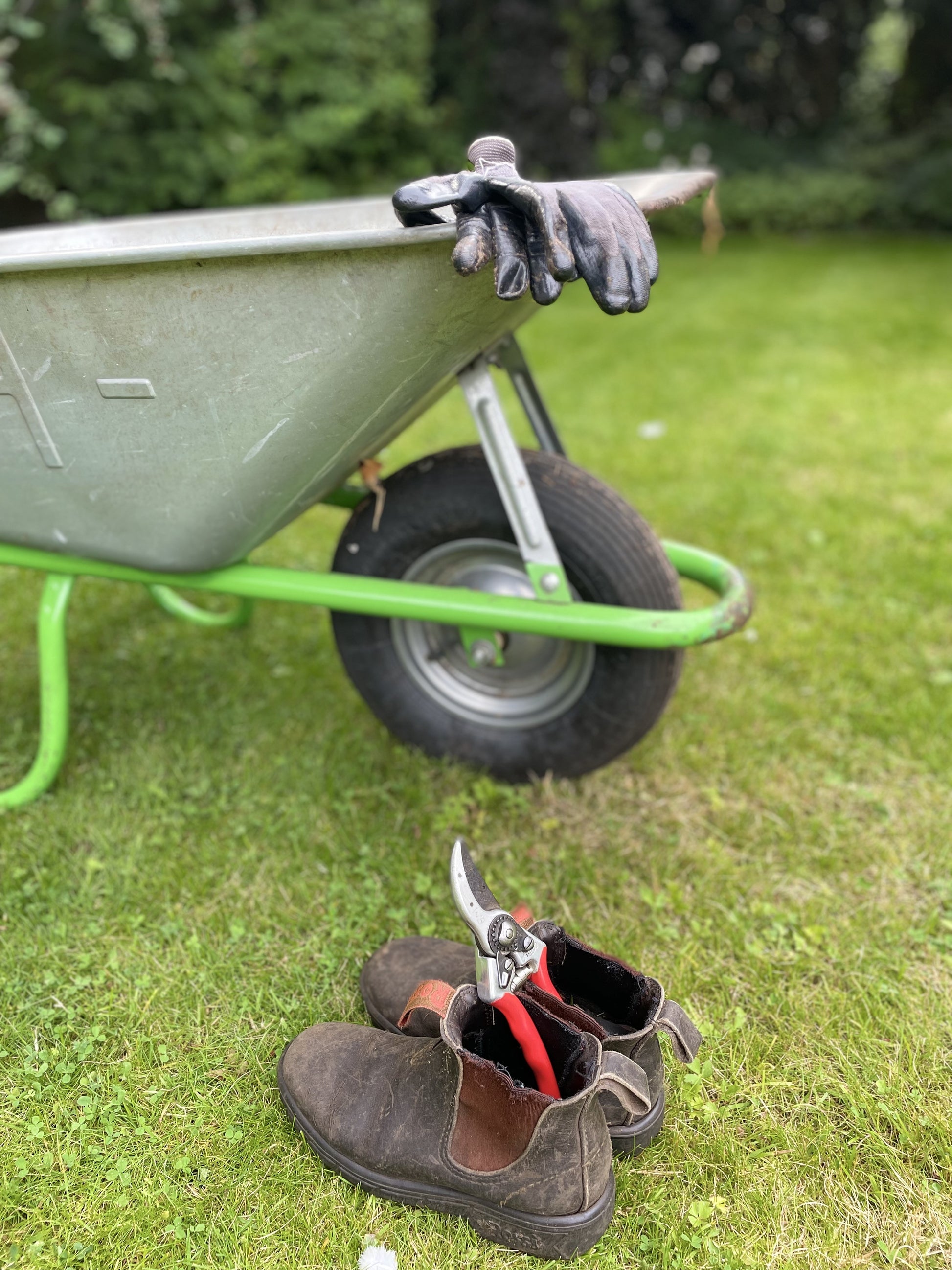 Eine Schubkarre mit Handschuhen steht im Gras. Davor halten Stiefel eine Schere mit rotem Griff, was auf die jüngsten Arbeiten oder den Astrid Torrens Grundkurs "Grüner Daumen" Halbtag am 27.02.2026, 09:30-12:30 Uhr zur Förderung der Bodengesundheit hinweist.