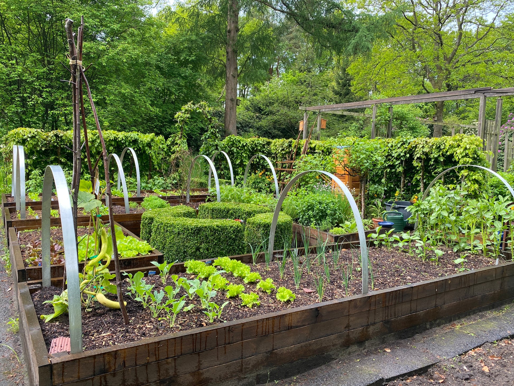 Lassen Sie sich für Ihren Gartenworkshop inspirieren und besuchen Sie Thea Carlins "Di. 17.03.2026 | 10.00-12.00 WORKSHOP Hochbeete und andere Gemüsebeete anlegen" und lernen, wie man üppige Hochbeete für Blattgemüse, Zwiebeln und mehr anlegt!.