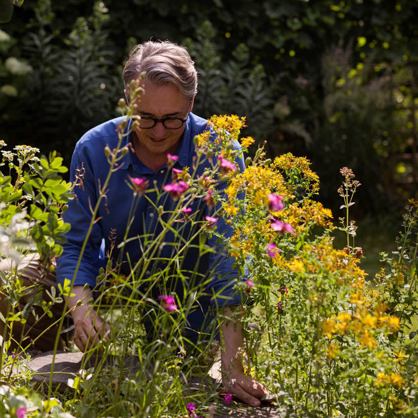 Eine Person mit grauen Haaren und Brille, im blauen Hemd, gärtnert an einem sonnigen Tag zwischen leuchtend gelben und rosa Blumen, inspiriert von Horst Magers Kurs "Fr. 07.11.2025 | HALBTAGESKURS - Gärtnern zu jeder Jahreszeit - Eine praktische Anleitung".