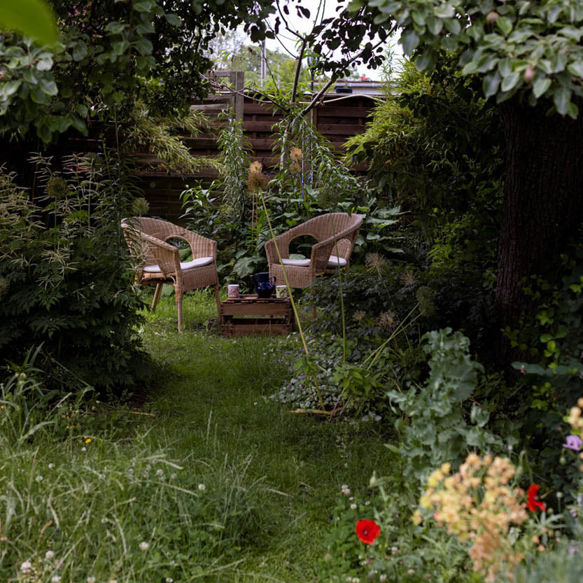 Zwei Korbstühle und ein kleiner Tisch mit Tassen stehen in einem üppig begrünten Garten - ein lauschiges Plätzchen, um Gartentipps auszutauschen oder nach dem Halbtageskurs "Gärtnern zu jeder Jahreszeit" von Horst Mager am Fr. 07.11.2025 (13:00-16:00) zu entspannen.