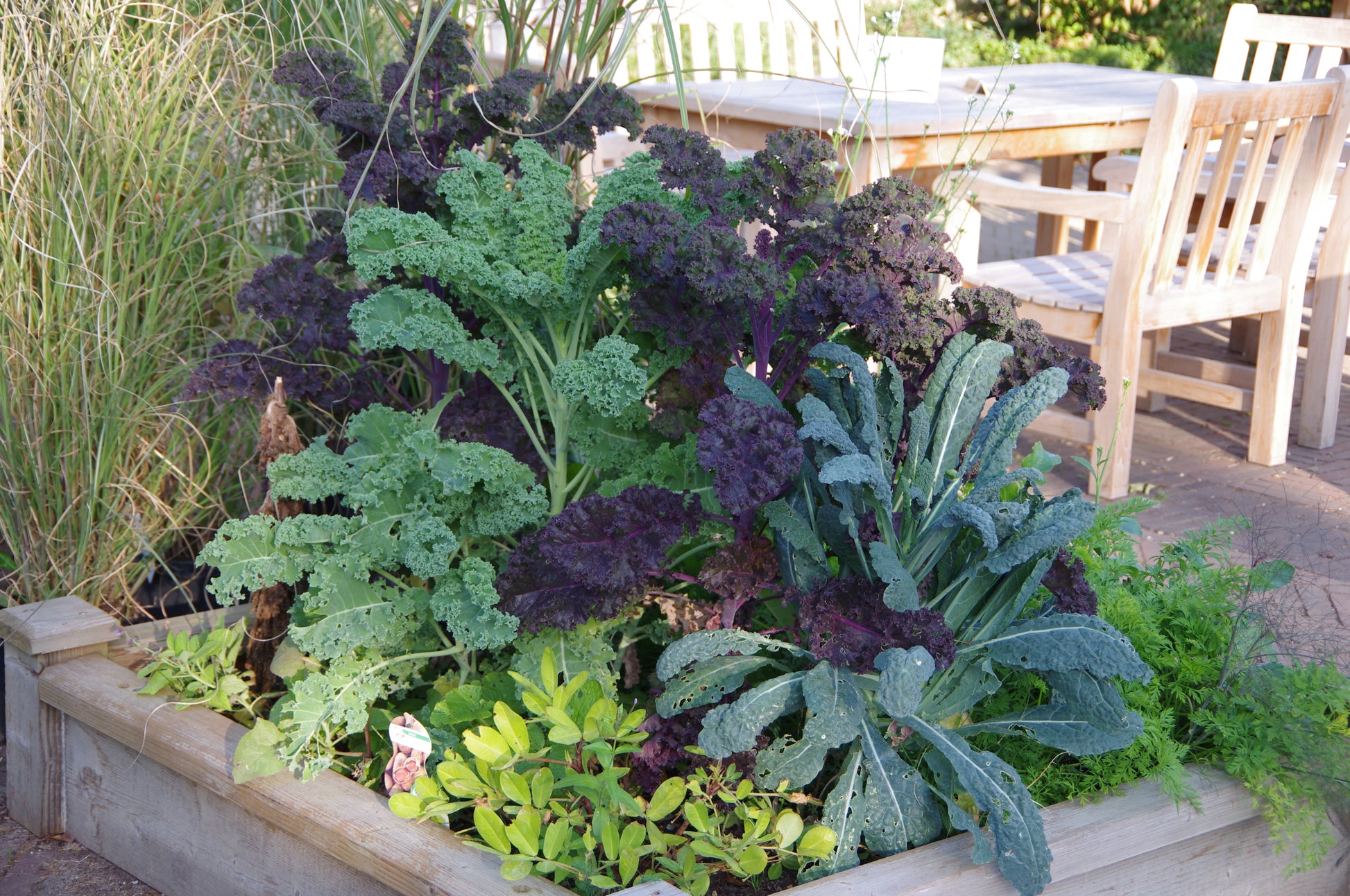 Lassen Sie sich inspirieren, Ihr eigenes Gemüsebeet zu kreieren! Besuchen Sie Thea Carlins Workshop "Di. 17.03.2026 | 10.00-12.00 WORKSHOP Hochbeete und andere Gemüsebeete anlegen" und lernen Sie, wie Sie Hochbeete mit Grünkohl, Grünzeug und Kräutern für Ihre Terrassenoase anlegen.