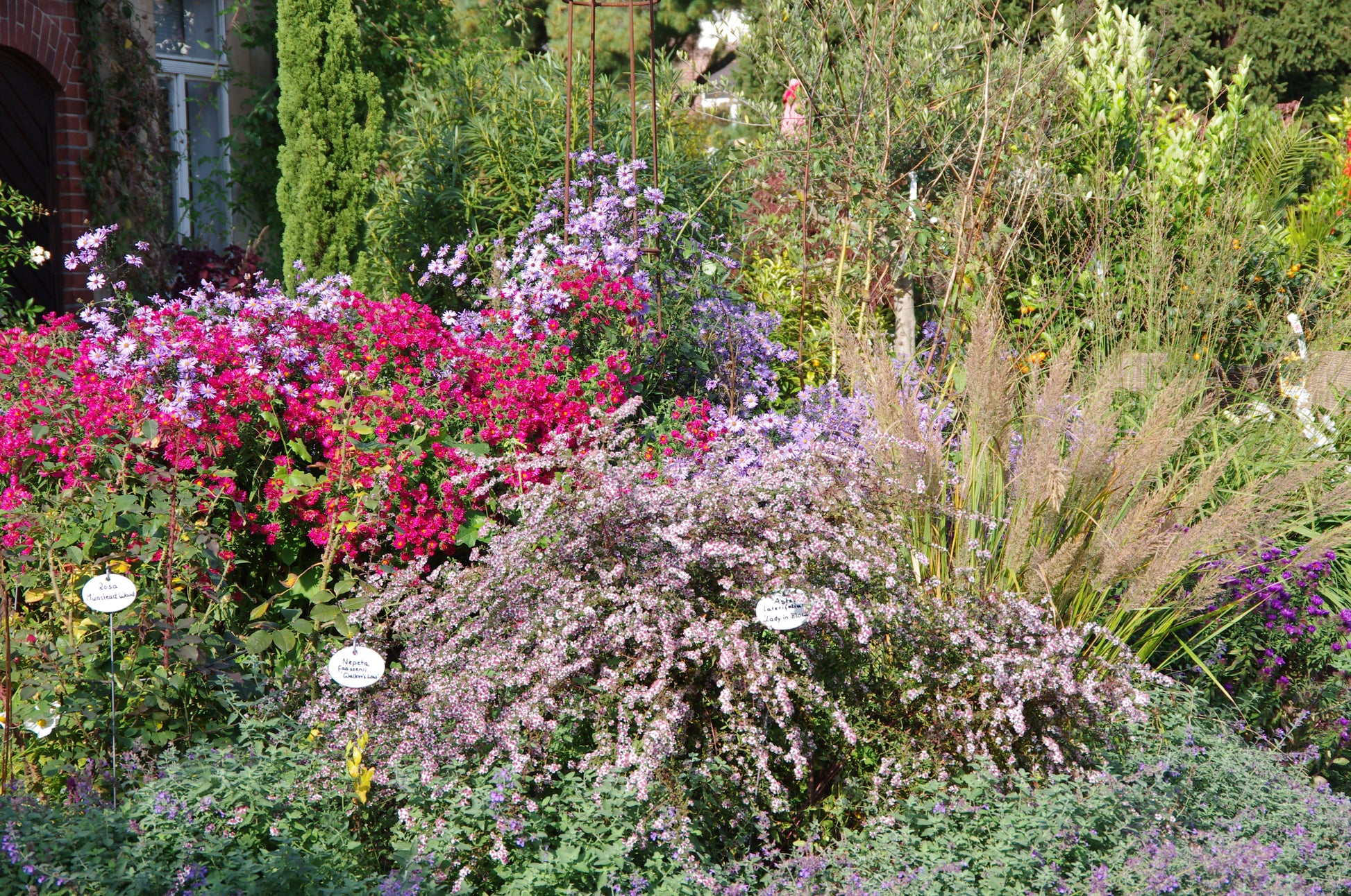 Gestalten Sie ein farbenfrohes gemischtes Beet mit bunt blühenden Pflanzen beim HALBTAGESKURS "Gestaltung und Bepflanzung einer Mixed Border" von Dr. Isabelle Van Groeningen am Sa. 28.03.2026, 13:00-16:00.