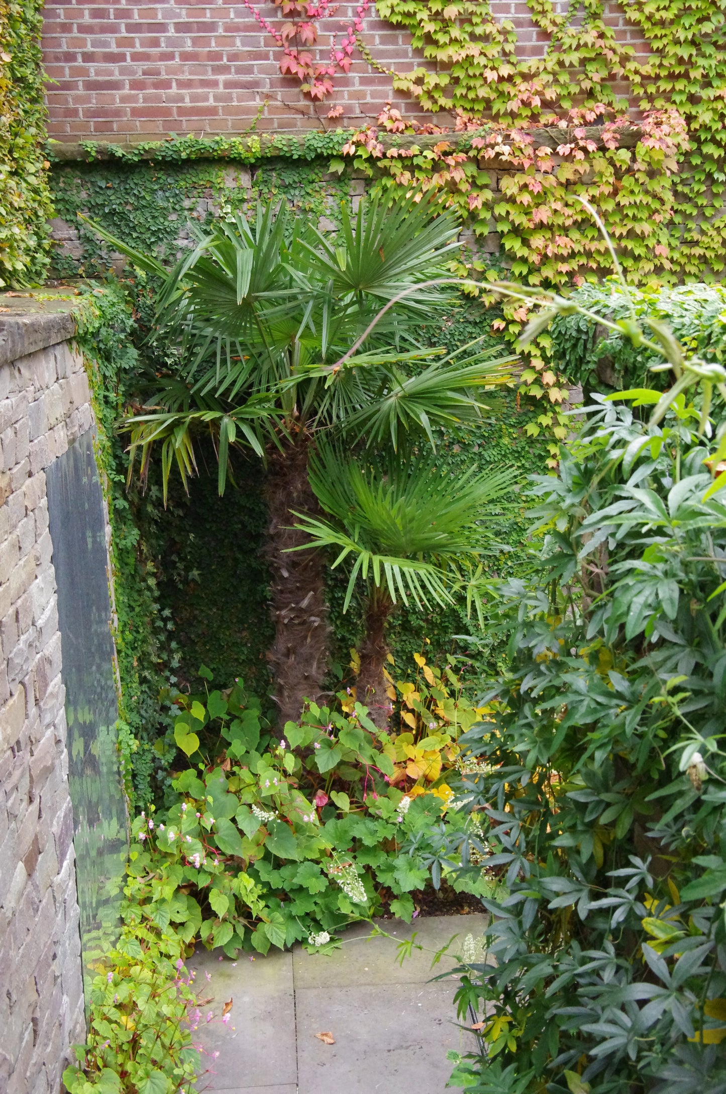 Lassen Sie sich für Ihre eigene Gartenschule inspirieren bei Dr. Isabelle Van Groeningen's "Mi. 18.02.2026 | 13.30-16.30 HALBTAGESKURS: Geheimnisse eines funktionierenden Schattengartens" und entdecken Sie Gestaltungsideen für üppige Innenhöfe mit Palmen, Efeu und Herbsttönen.