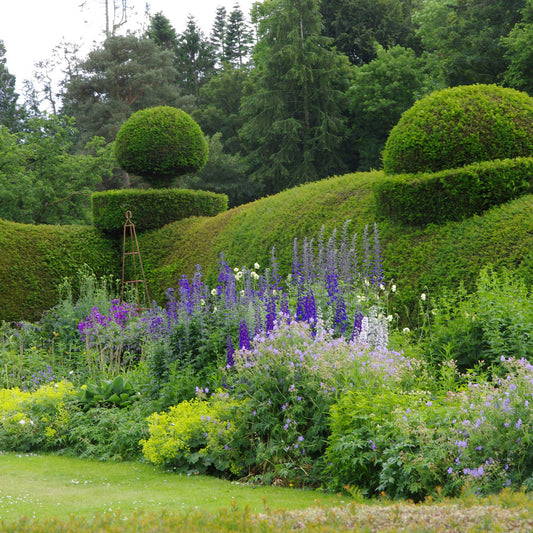 Genießen Sie einen friedlichen Nachmittagstee, inspiriert von den Gärten des Lake Districts, mit geschwungenen Hecken und leuchtenden Blüten, am Mi. 22.10.2025 | 14.30-16.00 in den Gärten des Lake Districts mit Dr. Isabelle Van Groeningen (Marke: Isabelle Van Groeningen).