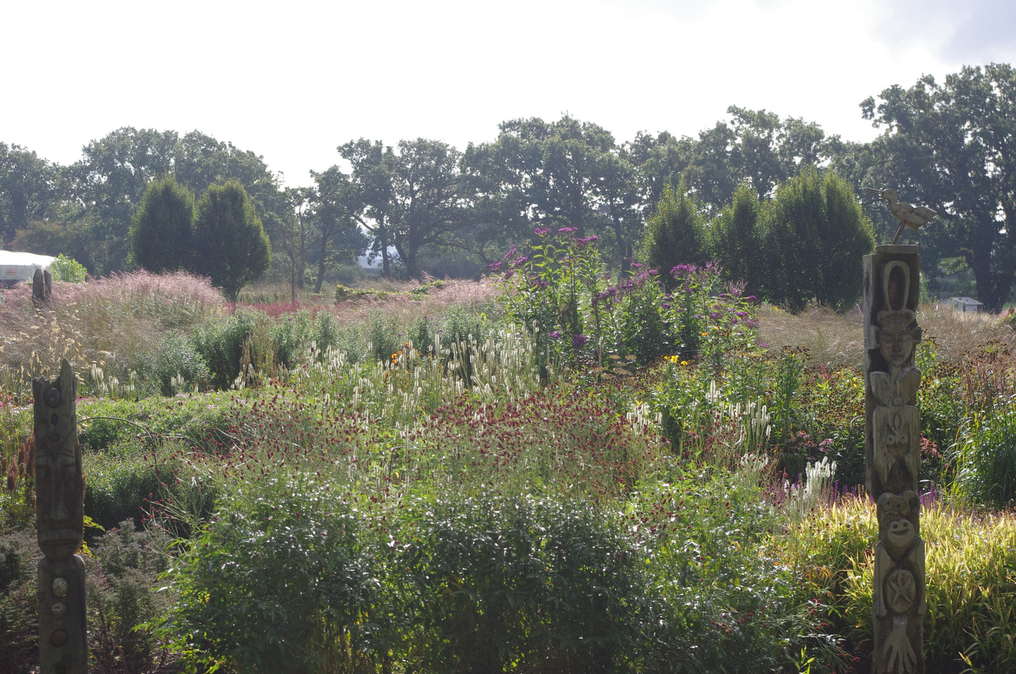 Erleben Sie den Charme der Gärten von Kent und Sussex bei Dr. Isabelle Van Groeningen's "AFTERNOON-TEA-VORTRAG Die Gartenpracht von Kent und Sussex" am Di. 17.02.2026, 14:30-15:30, mit hohem Gras, Wildblumen und sanftem Sonnenlicht, das die Schönheit der Natur hervorruft.