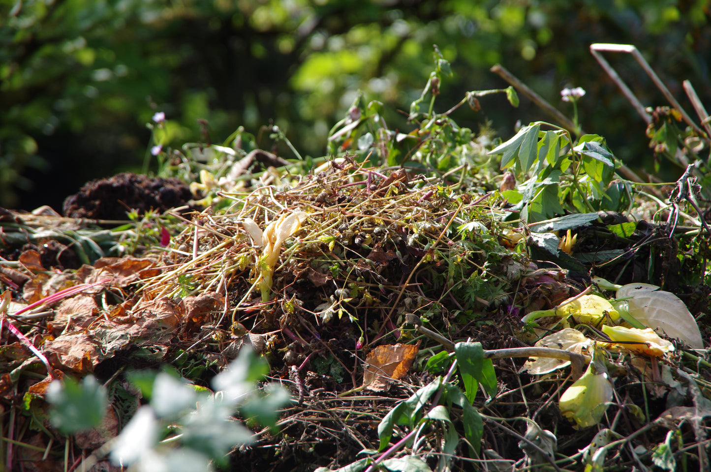 Eine Nahaufnahme von Gartenkompost - getrocknete Blätter, verwelkte Pflanzen und organische Abfälle - im Freien, die für "Di. 24.03.2026 10.00-11.30 WORKSHOP Kompost: Das wahre Gold des Gärtners" von Thea Carlin mit unscharfem grünem Laub im Hintergrund.