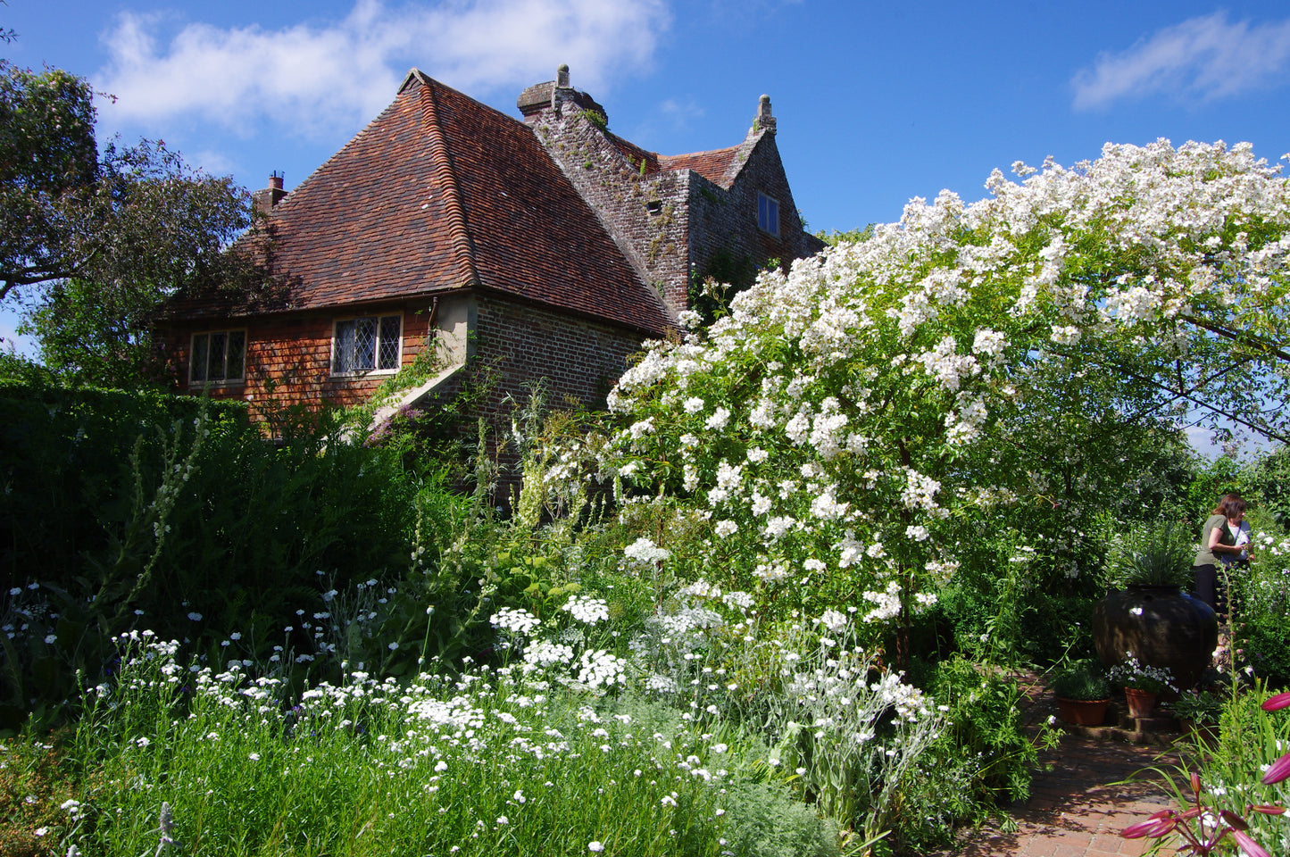 Ein Cottage mit rotem Ziegeldach inmitten von üppigem Grün und weißen Blumen, unter einem blauen Himmel, erinnert an den Charme der Gärten von Kent und Sussex - vorgestellt in Dr. Isabelle Van Groeningen's 17.02.2026 afternoon tea talk "Die Gartenpracht von Kent und Sussex.
