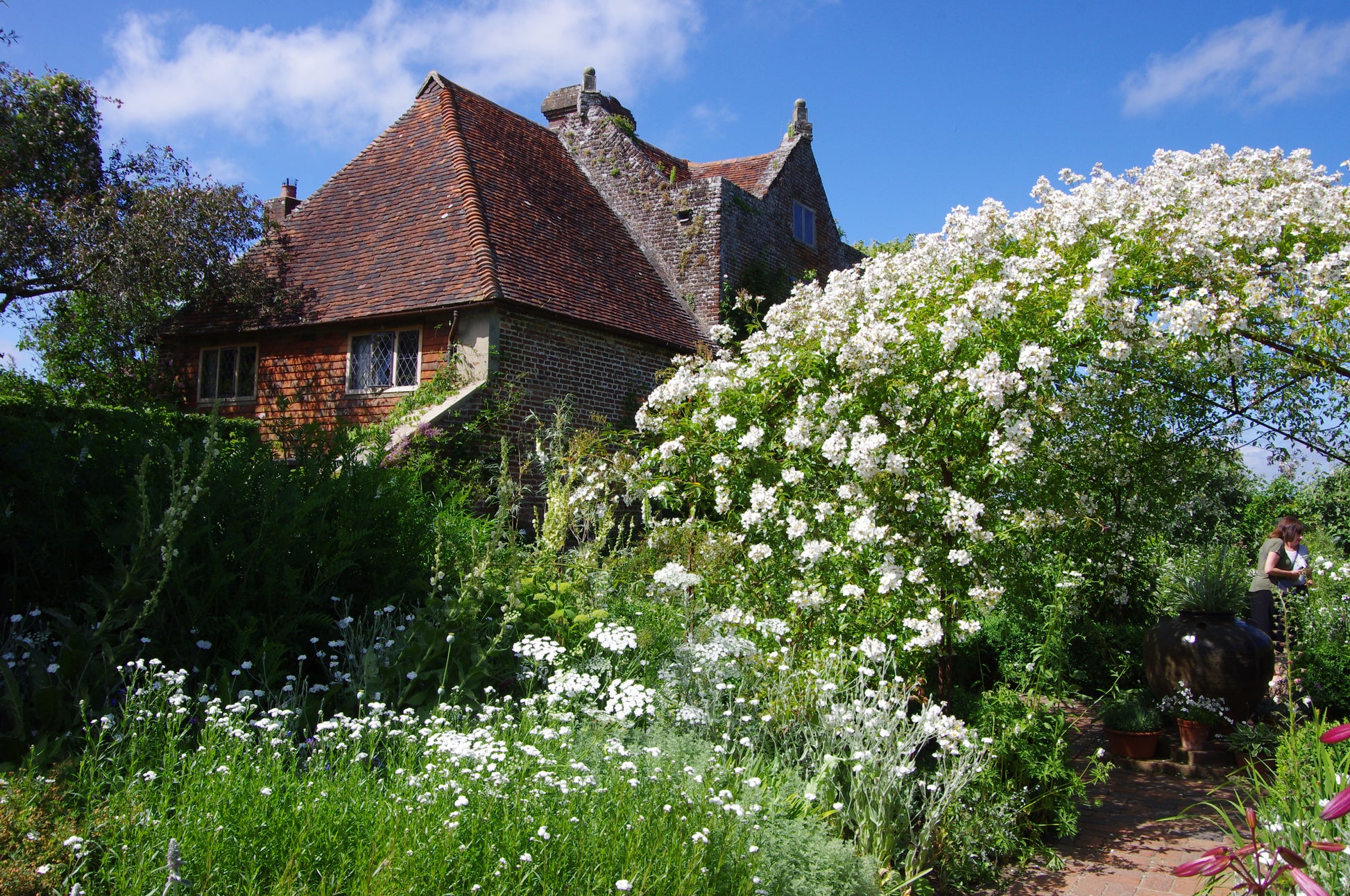 Ein Cottage mit rotem Ziegeldach inmitten von üppigem Grün und weißen Blumen, unter einem blauen Himmel, erinnert an den Charme der Gärten von Kent und Sussex - vorgestellt in Dr. Isabelle Van Groeningen's 17.02.2026 afternoon tea talk "Die Gartenpracht von Kent und Sussex.