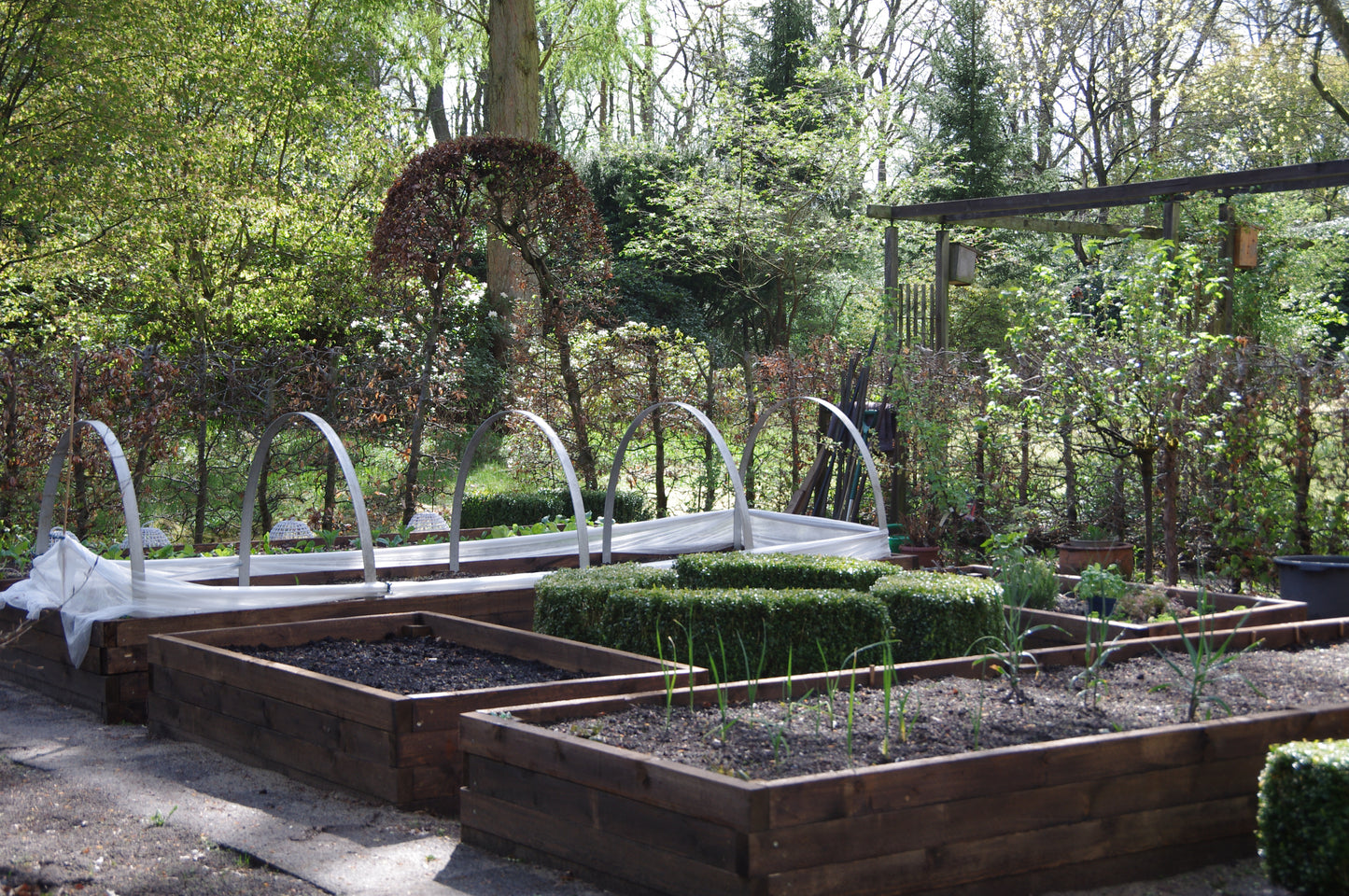 Umgeben von Bäumen und üppigem Grün sind im Bereich Gemüsebeete anlegen mehrere Hochbeete aus Holz in verschiedenen Stadien zu sehen - einige mit jungen Pflanzen, andere unter weißem Plastik -, in denen Thea Carlins Workshop 17.03.2026 von 10:00-12:00 Uhr gezeigt wird.