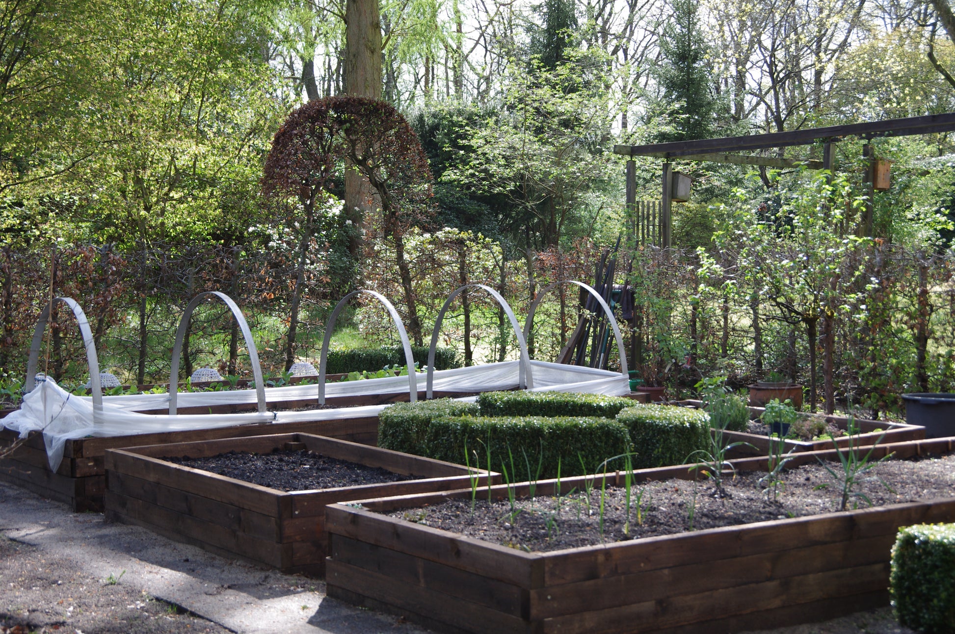 Umgeben von Bäumen und üppigem Grün sind im Bereich Gemüsebeete anlegen mehrere Hochbeete aus Holz in verschiedenen Stadien zu sehen - einige mit jungen Pflanzen, andere unter weißem Plastik -, in denen Thea Carlins Workshop 17.03.2026 von 10:00-12:00 Uhr gezeigt wird.