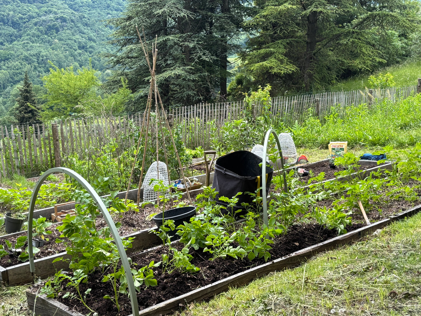 Im Freien, zwischen einem Holzzaun und grünen Bergen, zeigt Thea Carlins "Di. 17.03.2026 | 10.00-12.00 WORKSHOP Hochbeete und andere Gemüsebeete anlegen" zeigt üppige Hochbeete, junge Pflanzen, Gartenreifen, weiße Stühle und eine schwarze Schubkarre - ideal für Gartenliebhaber.