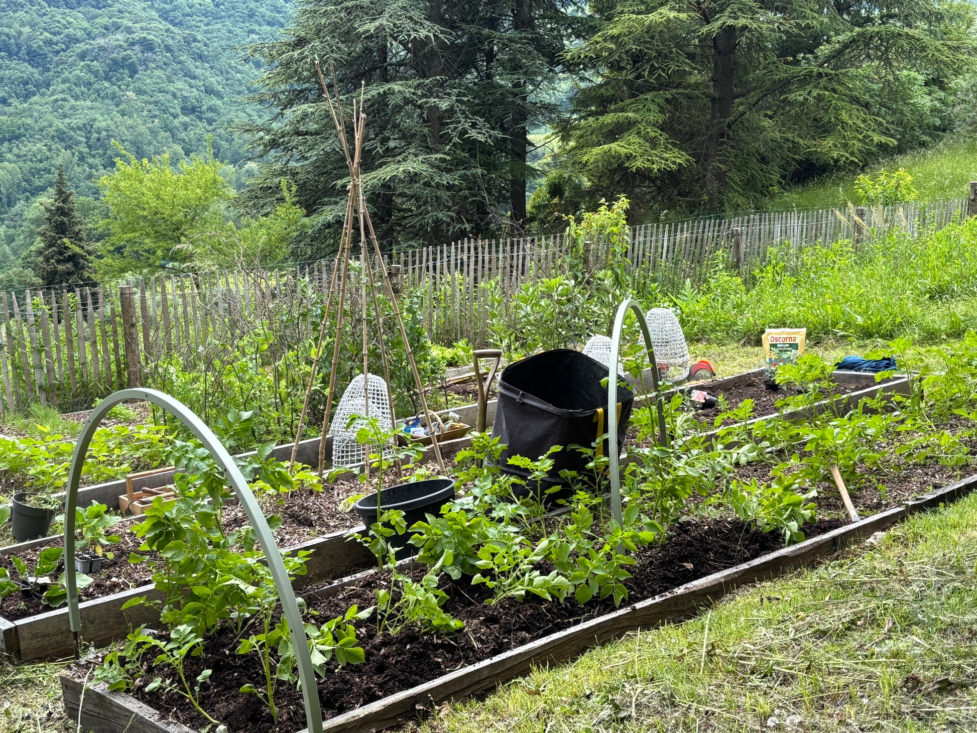 Im Freien, zwischen einem Holzzaun und grünen Bergen, zeigt Thea Carlins "Di. 17.03.2026 | 10.00-12.00 WORKSHOP Hochbeete und andere Gemüsebeete anlegen" zeigt üppige Hochbeete, junge Pflanzen, Gartenreifen, weiße Stühle und eine schwarze Schubkarre - ideal für Gartenliebhaber.