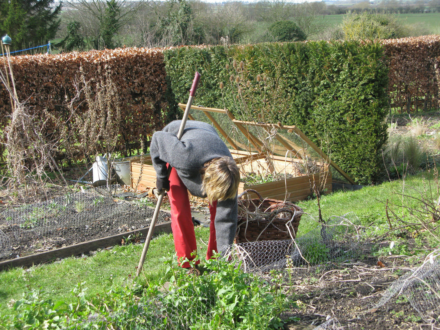 Ein Mensch gärtnert vor Hochbeeten und Stauden - eine ideale Kulisse für die Veranstaltung der Königlichen Gartenakademie "GARTENTALK Gedanken zum Gärtnern im Frühling" am Sa. 14.03.2026, 11.00-12.30 Uhr, mit Dr. Isabelle Van Groeningen, Gabriella Pape & Horst Mager.