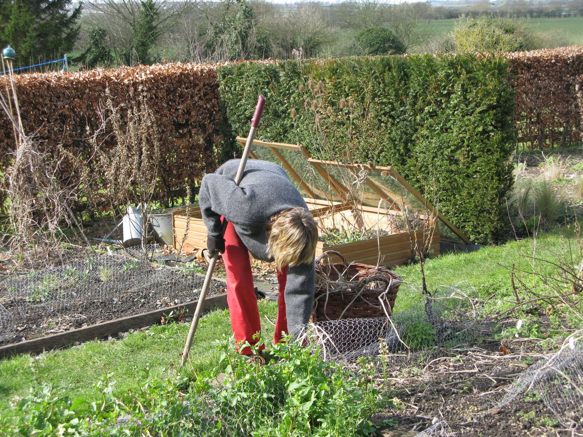 Ein Mensch gärtnert vor Hochbeeten und Stauden - eine ideale Kulisse für die Veranstaltung der Königlichen Gartenakademie "GARTENTALK Gedanken zum Gärtnern im Frühling" am Sa. 14.03.2026, 11.00-12.30 Uhr, mit Dr. Isabelle Van Groeningen, Gabriella Pape & Horst Mager.
