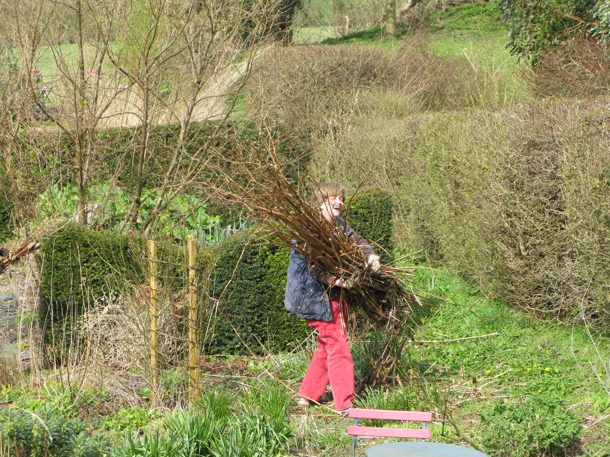 Eine Person in roter Hose und blauer Jacke trägt Äste durch einen grünen Garten - die perfekte Inspiration für "Sa. 14.03.2026 | 11.00-12.30 GARTENTALK Gedanken zum Gärtnern im Frühling" der Königlichen Gartenakademie.