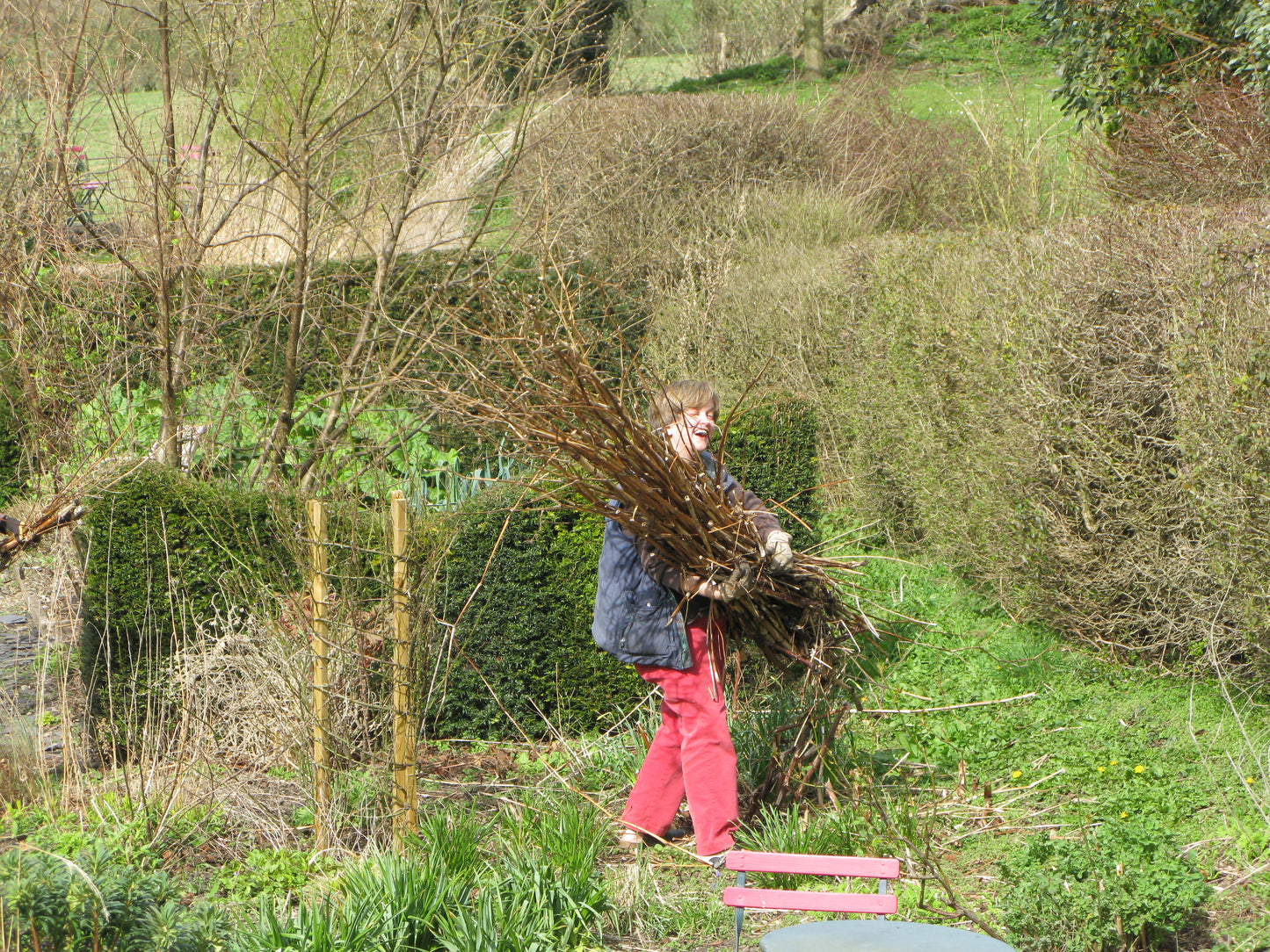 Eine Person in dunkler Jacke und roter Hose trägt ein Bündel Stöcke durch einen gepflegten Garten - vielleicht inspiriert von der Königlichen Gartenakademie, die "Mi. 18.03.2026 | 10-12 WORKSHOP Frühlingsfit: Wie bereite ich meinen Garten auf die neue Saison vor?.