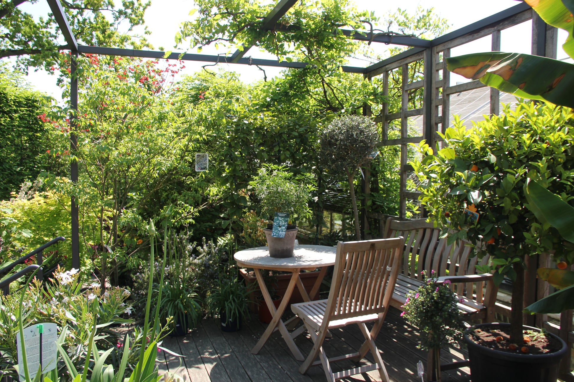 Lassen Sie sich von Gabriella Pape inspirieren und verwandeln Sie Ihren Garten in einen lebendigen Lebensraum - besuchen Sie den Mi. 18.02.2026 | 09.30-12.30 Uhr HALBTAGESKURS "Der Garten als Lebensraum NEU" Experten-Tipps zur Gestaltung eines einladenden, üppigen Rückzugsortes im Freien.